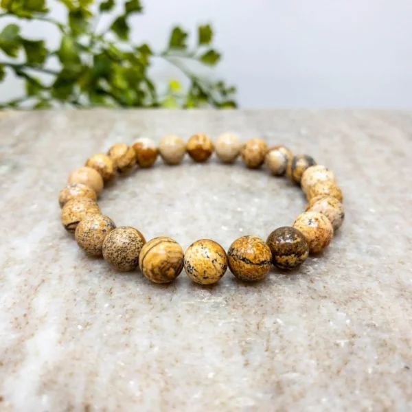 Picture Jasper Bracelet