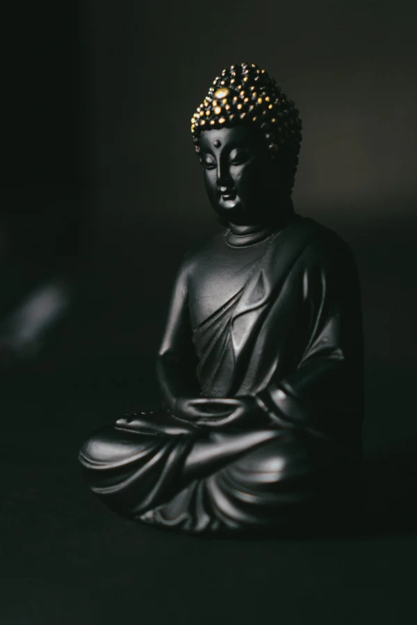 Black Katora Buddha - Image 2